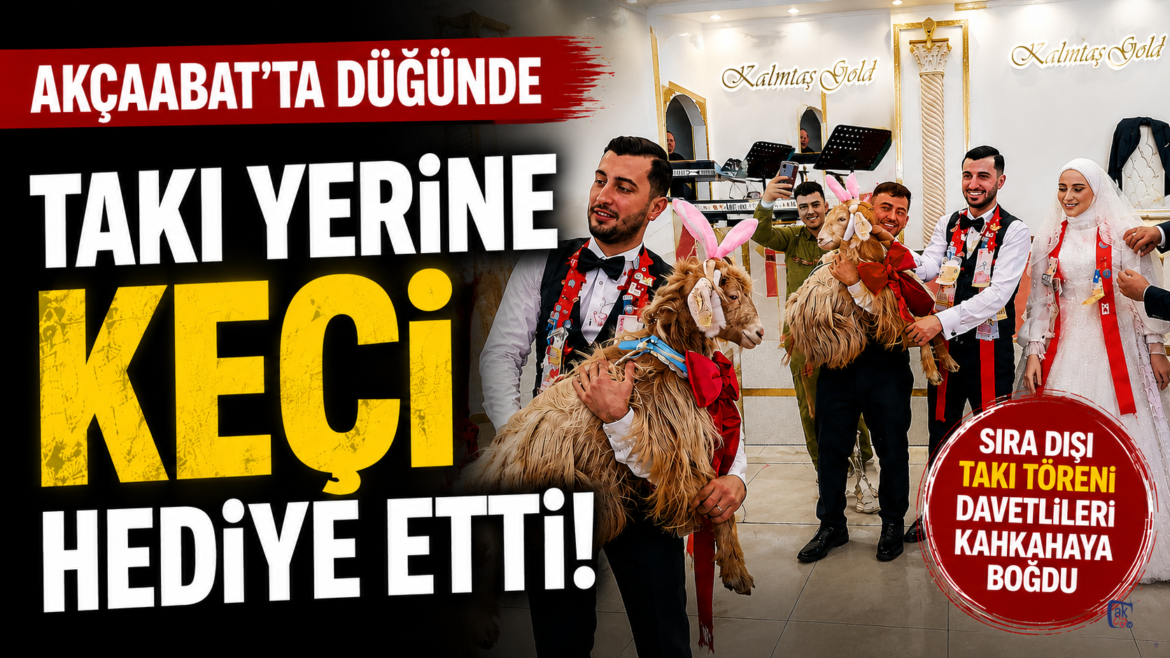 Akçaabat'ta düğünde takı yerine keçi hediye etti