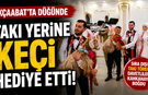 Akçaabat'ta düğünde takı yerine keçi hediye etti