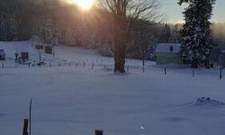 Hıdırnebi'de Mart karı