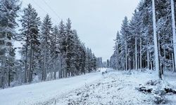 Kayabaşı Yaylası'na kar yağdı