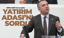 Yatırım Adası'nı sordu