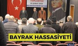BAYRAK HASSASİYETİ