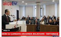 Ekim ile Çankaya arasında balıkhane tartışması