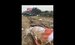 Akçaabat'ta çevre felaketi ortaya çıktı