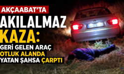 Akçaabat'ta akılalmaz kaza: Geri gelen araç otluk alanda yatan şahsa çarptı