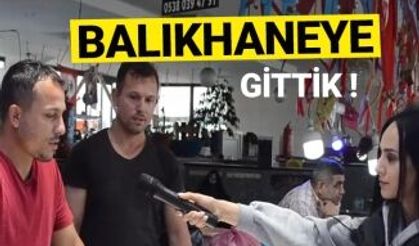 AKÇAABAT'TA BALIKHANEYE GİDİP BALIK FİYATLARINI SİZLER İÇİN ÖĞRENDİK..