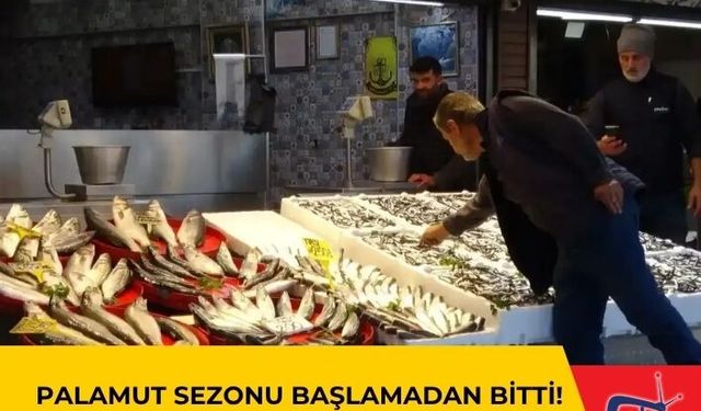 Palamut Sezonu Başlamadan Bitti!