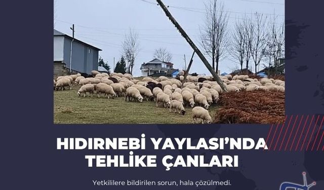 HIDIRNEBİ YAYLASI’NDA TEHLİKE ÇANLARI