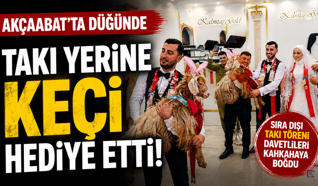 Akçaabat'ta düğünde takı yerine keçi hediye etti