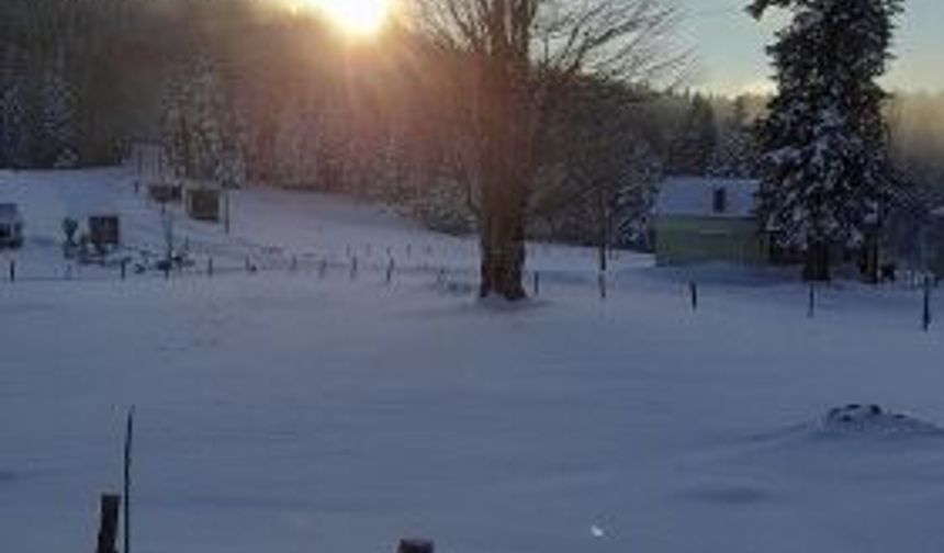 Hıdırnebi'de Mart karı