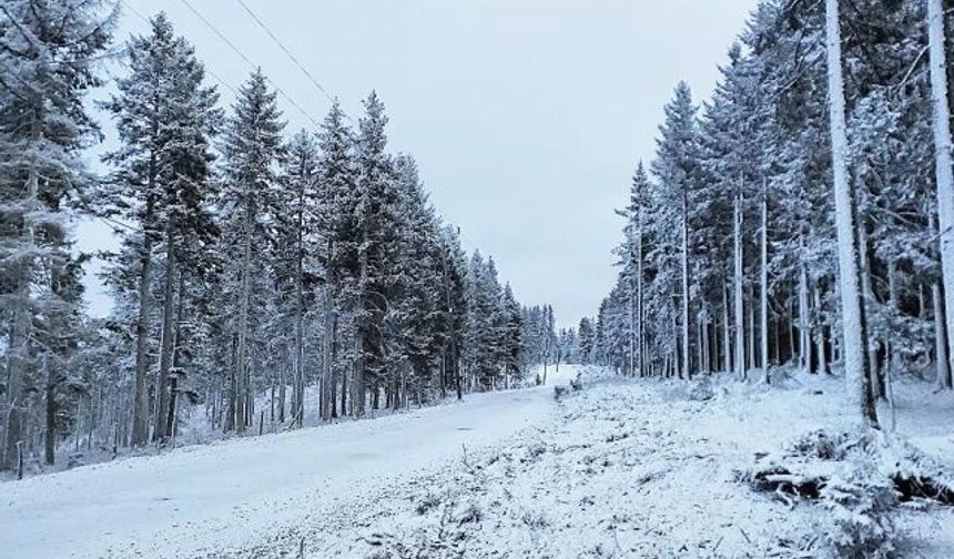 Kayabaşı Yaylası'na kar yağdı
