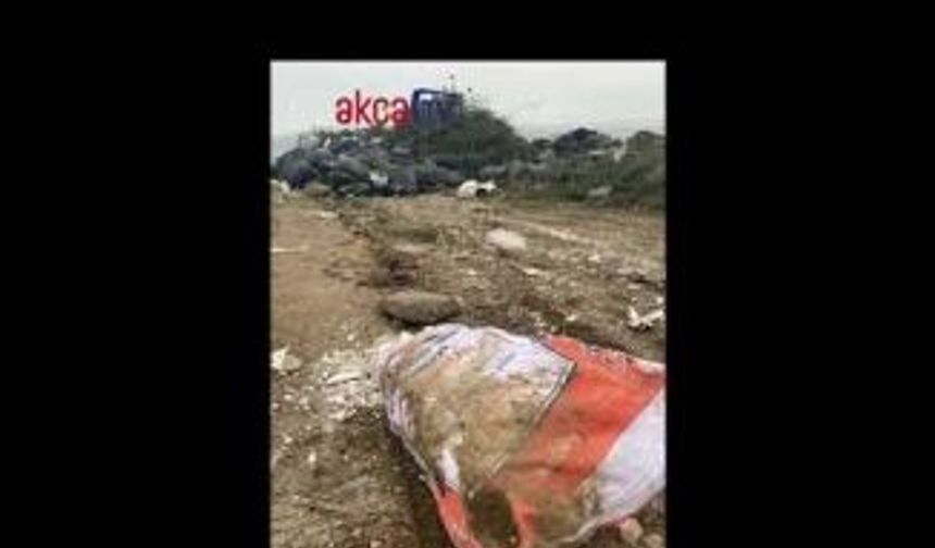 Akçaabat'ta çevre felaketi ortaya çıktı